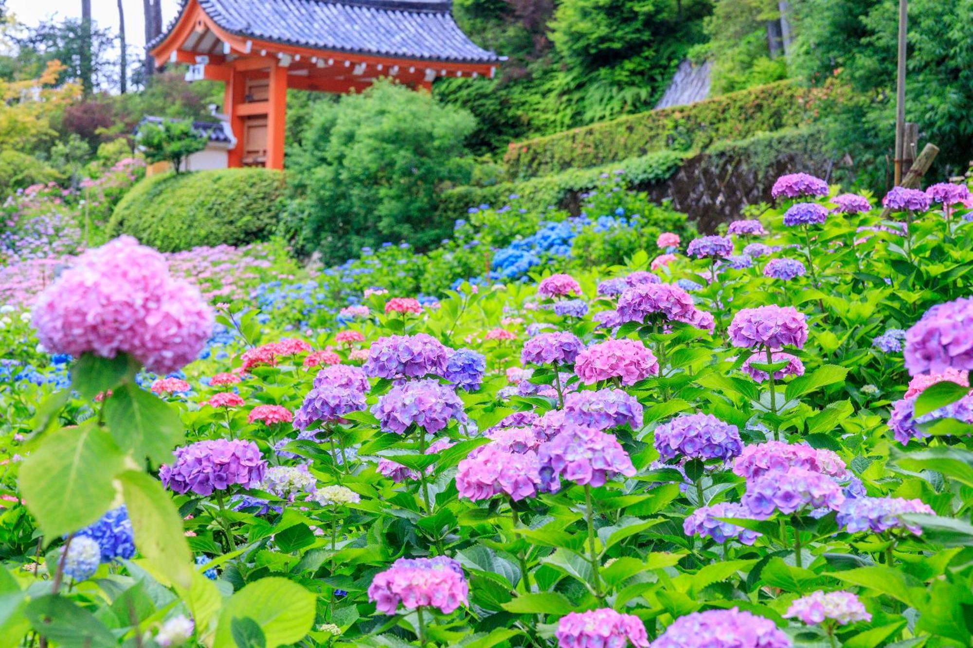 Mimaru Kyoto Nishinotoin Takatsuji Hotel Luaran gambar