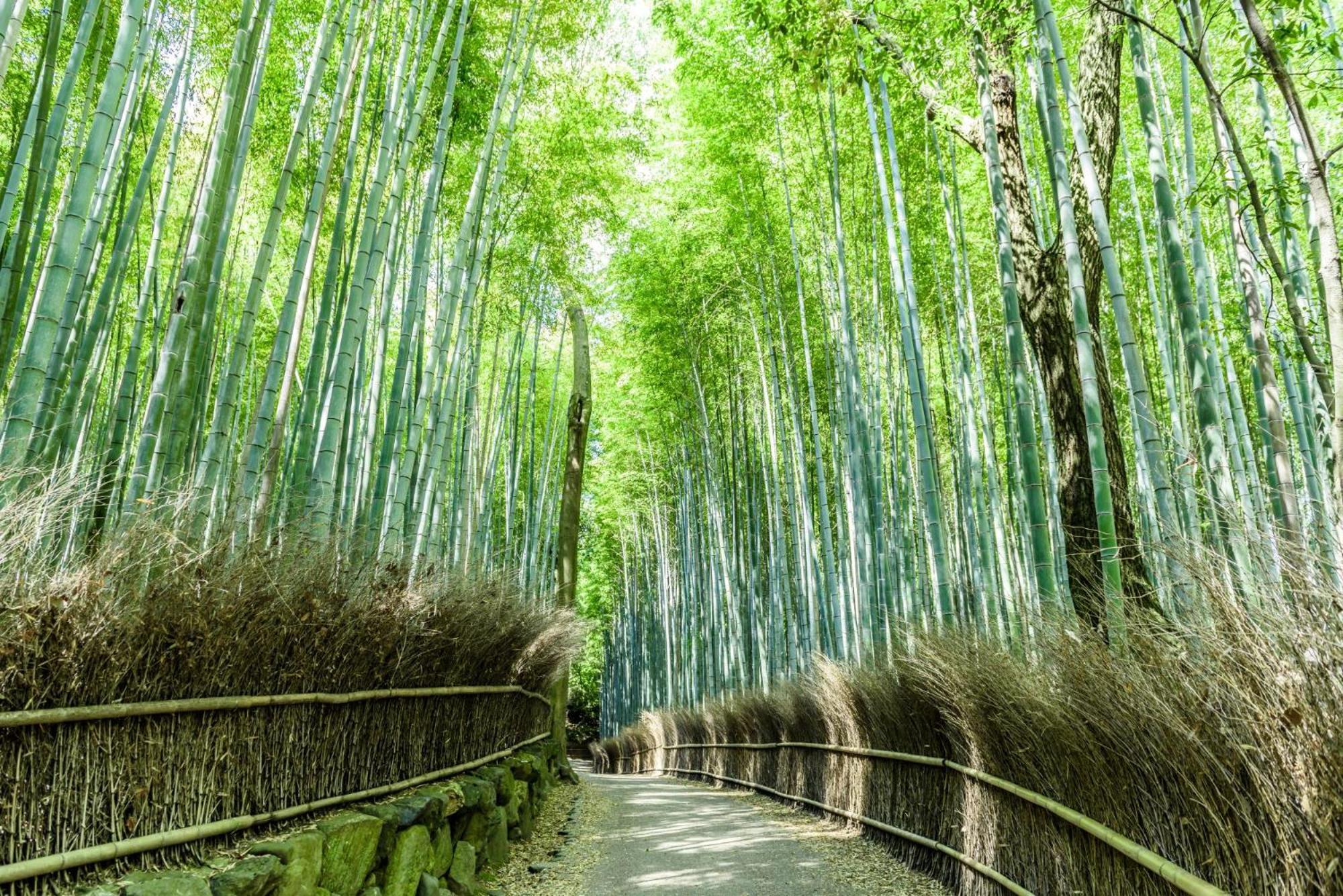 Mimaru Kyoto Nishinotoin Takatsuji Hotel Luaran gambar